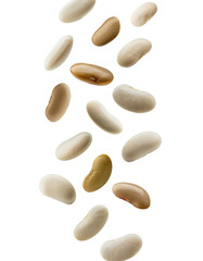 Multiple white and brown beans falling against a transparent background, ideal for food and beverage projects