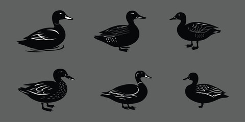 Fototapeta premium Collection of Black Duck Silhouettes in Various Poses