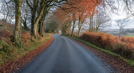 Naklejka premium A picturesque autumn scene of trees with orange and red leaves lining the road