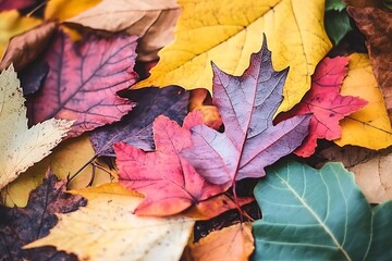 Obraz premium A pile of colorful autumn leaves spread out on the ground