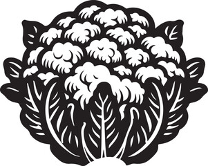 Cauliflower silhouette vector art illustration. Cauliflower vector icon.