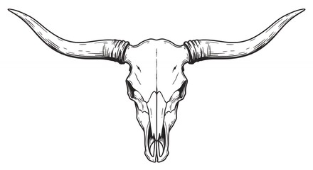 Longhorn cattle skull line art illustration graphic design element