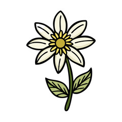 anemopsis yerba mansa flower icon, anemopsis yerba mansa flower vector illustration-simple illustration of anemopsis yerba mansa flower, perfect for anemopsis yerba mansa flower logos and icons