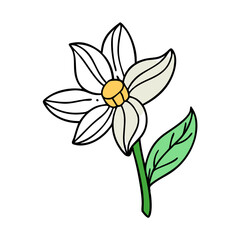 anemopsis yerba mansa flower icon, anemopsis yerba mansa flower vector illustration-simple illustration of anemopsis yerba mansa flower, perfect for anemopsis yerba mansa flower logos and icons