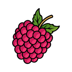 arctic raspberry icon, arctic raspberry vector illustration-simple illustration of arctic raspberry, perfect for arctic raspberry logos and icons
