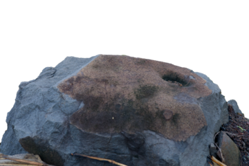 Stone isolated on white background.