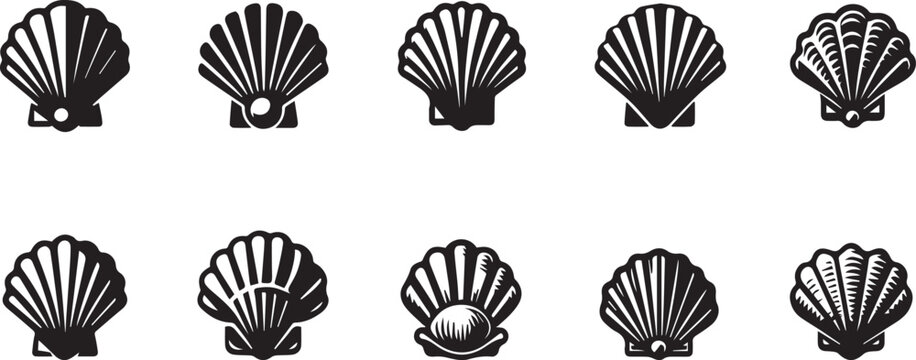 Sea shell icon. Set of pearl shell icons. Vector illustration. Shell vector icons. Black seashell icons vector illustration