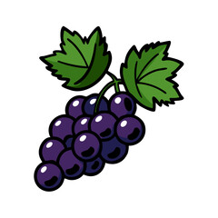 blackcurrant fruit icon, blackcurrant fruit vector illustration-simple illustration of blackcurrant fruit, perfect for blackcurrant fruit logos and icons
