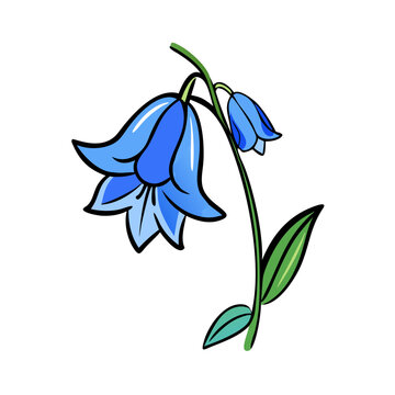 recommend clip art: bluebell flower icon, bluebell flower vector illustration-simple illustration of bluebell flower, perfect for bluebell flower logos and icons