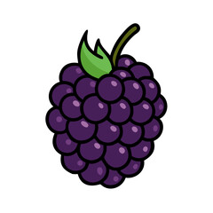 boysenberry icon, boysenberry vector illustration-simple illustration of boysenberry, perfect for boysenberry logos and icons
