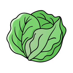 cabbage icon, cabbage vector illustration-simple illustration of cabbage, perfect for cabbage logos and icons