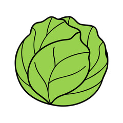 cabbage icon, cabbage vector illustration-simple illustration of cabbage, perfect for cabbage logos and icons