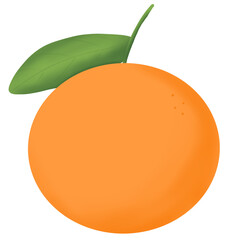 Fruit,Orange,Avocado,Apple,Mango,Banana,Cherry,Carrot,Strawberry,Food,Fruit juice,Salad,Worksheet,Digital sticker,Lemon