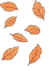 Fototapeta premium Autumn leaves falling down, isolated on a white background
