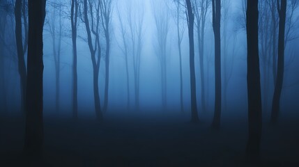 Fototapeta premium Misty, bluish-toned forest at twilight.