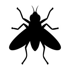 Black Fly Vector Illustration Isolated on Transparent background