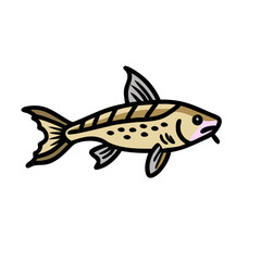 corydoras catfish icon, corydoras catfish vector illustration-simple illustration of corydoras catfish, perfect for corydoras catfish logos and icons