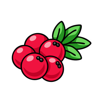red berries with green leaves clip art preview