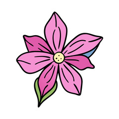 creeping phlox flower icon, creeping phlox flower vector illustration-simple illustration of creeping phlox flower, perfect for creeping phlox flower logos and icons
