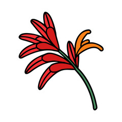crocosmia flower icon, crocosmia flower vector illustration-simple illustration of crocosmia flower, perfect for crocosmia flower logos and icons
