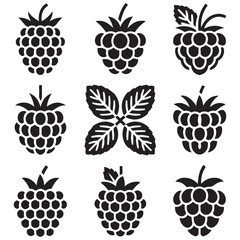 Raspberry fruit icon collection - black vector outline and silhouette