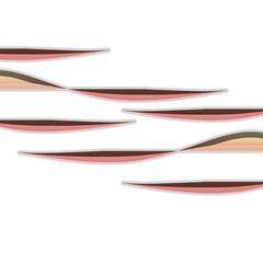ribbon isolated on white background