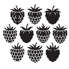 Raspberry fruit icon collection - black vector outline and silhouette