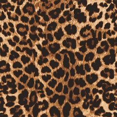 leopard skin pattern © Ferhat