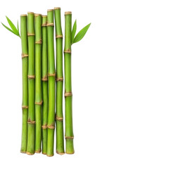 Obraz premium cluster of vibrant green bamboo stalks with fresh leaves, showcasing natural beauty and growth. bamboo is arranged vertically, symbolizing strength and flexibility