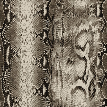 snake skin pattern design