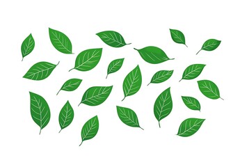 Autumn leaves frame on a white background