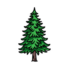douglas fir tree icon, douglas fir tree vector illustration-simple illustration of douglas fir tree, perfect for douglas fir tree logos and icons