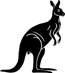 kangaroo vector illustration