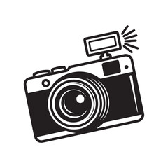 Camera with Flash Icon Design