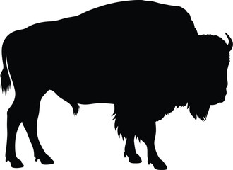 Bison silhouette, bison icon silhouette with grunge texture, buffalo silhouette isolated on white background, Vector illustration