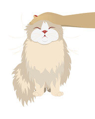 Relaxed Cat Being Petted by Hand,  Ideal for Animal Welfare, Emotional Support, and Home Decor Projects