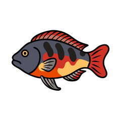 firemouth cichlid fish icon, firemouth cichlid fish vector illustration-simple illustration of firemouth cichlid fish, perfect for firemouth cichlid fish logos and icons