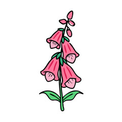 foxglove flower icon, foxglove flower vector illustration-simple illustration of foxglove flower, perfect for foxglove flower logos and icons