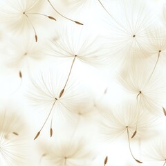 Delicate dandelion seeds float on a white background.  Soft light highlights the fine detail of the seeds