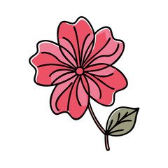 geranium flower icon, geranium flower vector illustration-simple illustration of geranium flower, perfect for geranium flower logos and icons