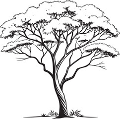Obraz premium West Indian Mahogany tree silhouette vector illustration