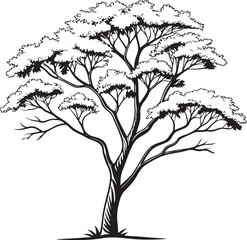 Obraz premium West Indian Mahogany tree silhouette vector illustration