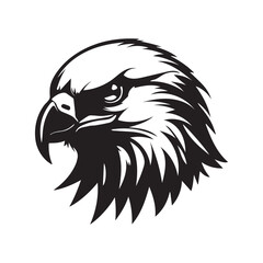 eagle head vector illustration