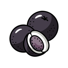 jabuticaba fruit icon, jabuticaba fruit vector illustration-simple illustration of jabuticaba fruit, perfect for jabuticaba fruit logos and icons