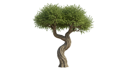 3 d render stylized twisted tree lush green canopy