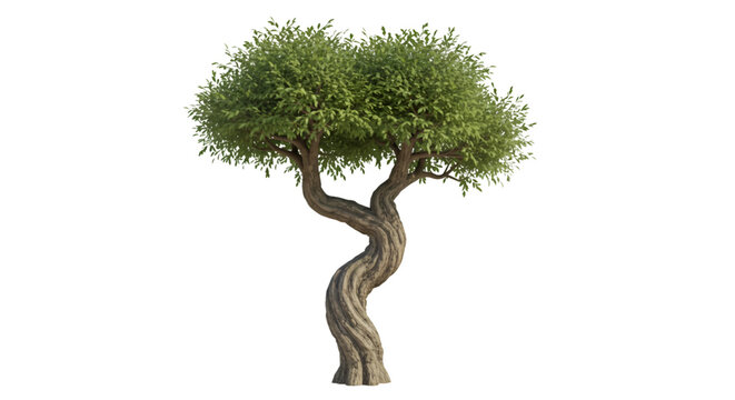3 d render stylized twisted tree lush green canopy