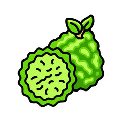 kaffir lime icon, kaffir lime vector illustration-simple illustration of kaffir lime, perfect for kaffir lime logos and icons