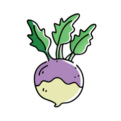 kohlrabi icon, kohlrabi vector illustration-simple illustration of kohlrabi, perfect for kohlrabi logos and icons