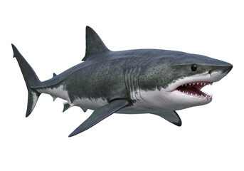 Realistic Great White Shark Swimming In Clear Ocean Water With Open Mouth