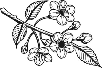 Colorful Flower Design Set for Creative Projects. Vibrant Floral Collection in Artistic Style. Decorative Flower Pack with Bright Colors. Artistic Flower Illustrations in Colorful Theme